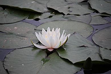 CDPR发文致谢玩家：三年来对2077不离不弃 给我们动力